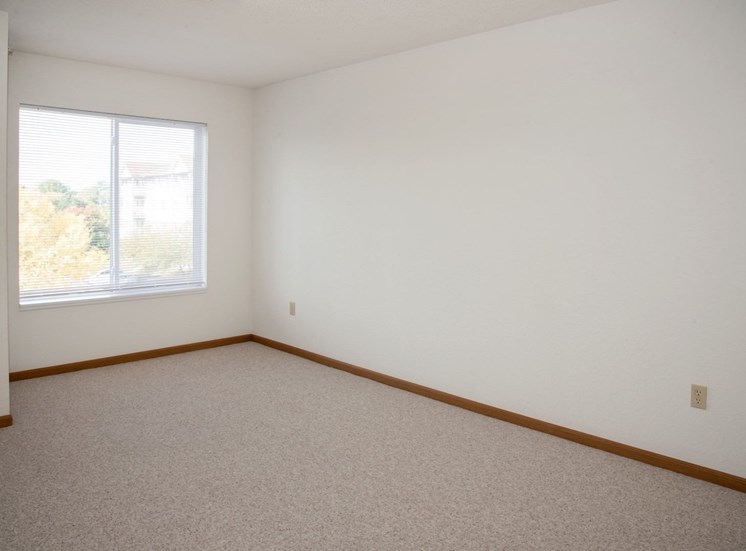 2 bedroom with large window